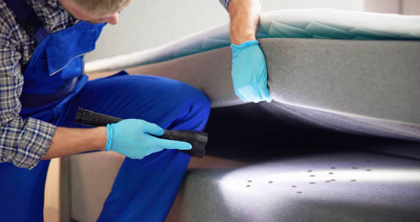 Trusted Riverside, PA Pest Control Experts