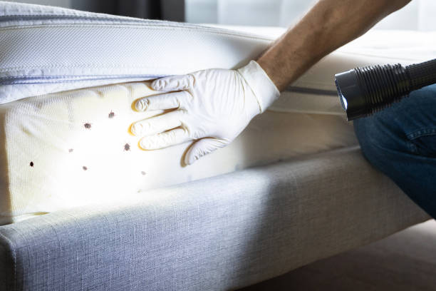 Best Emergency Pest Control  in Riverside, PA