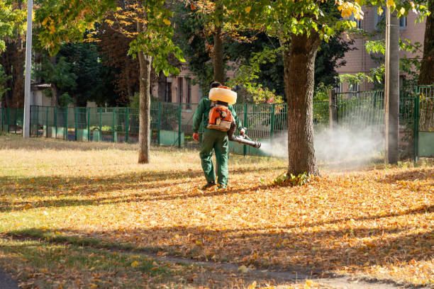Wasp Removal Services in Riverside, PA