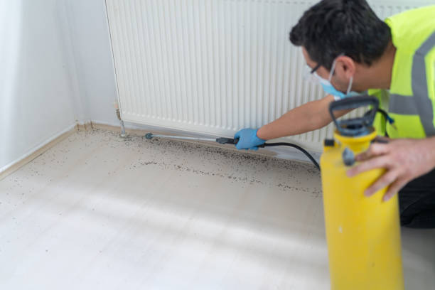Best Wasp Removal Services  in Riverside, PA