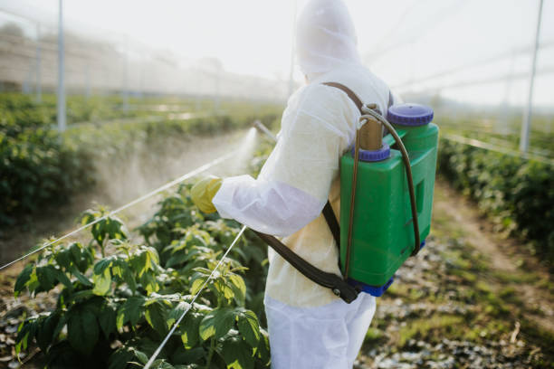 Best Exterminator Services  in Riverside, PA